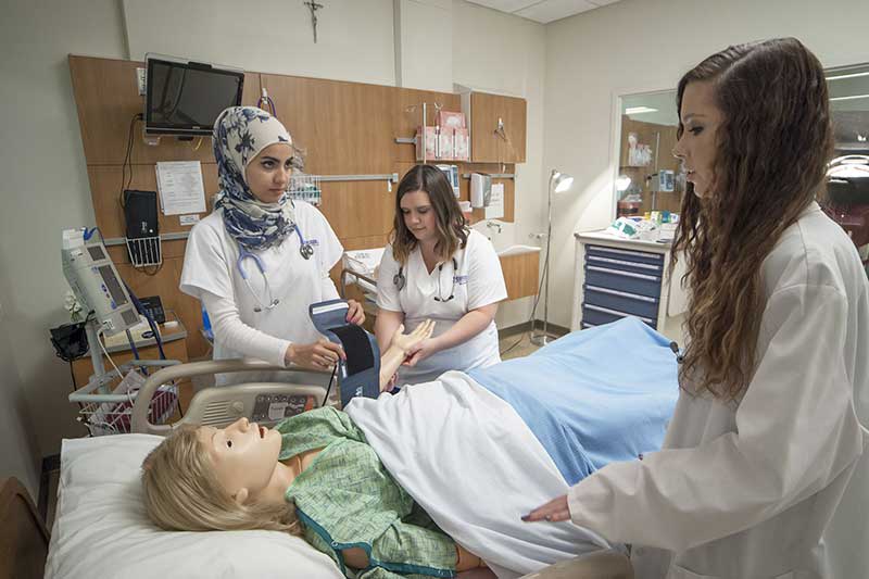 Madonna simulation lab