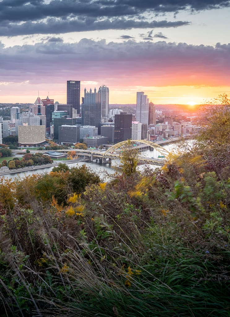 pittsburgh skyline portrait