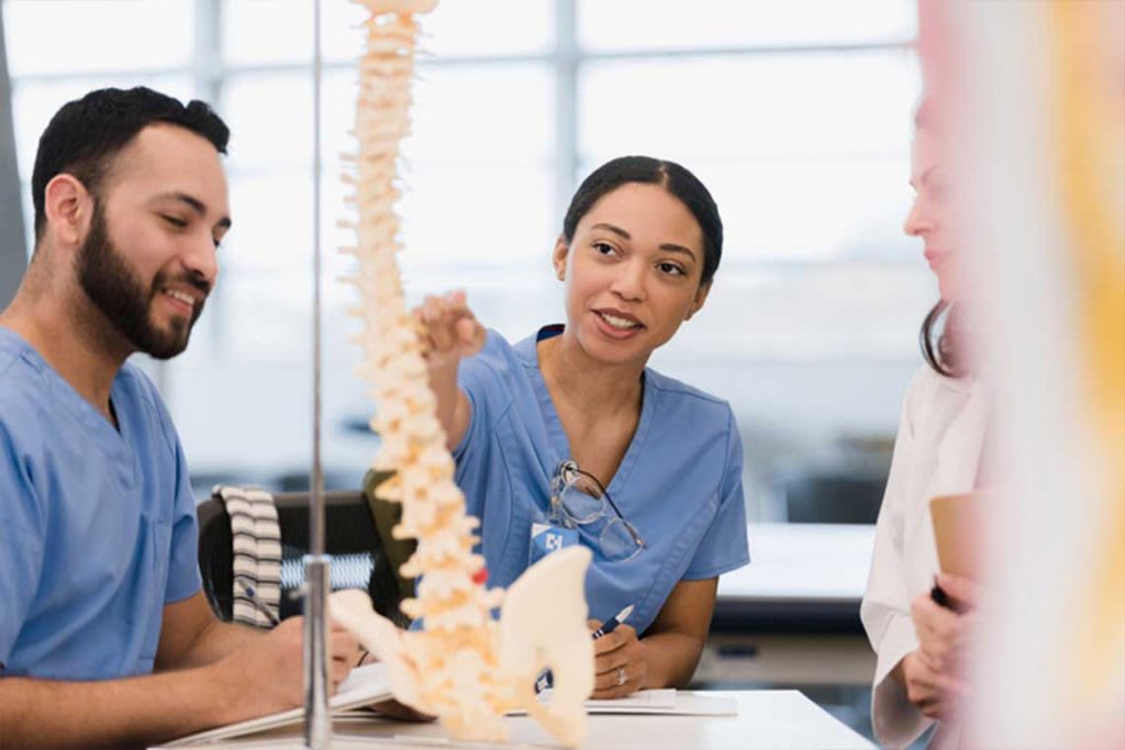 nursing students looking at sculpture of spine