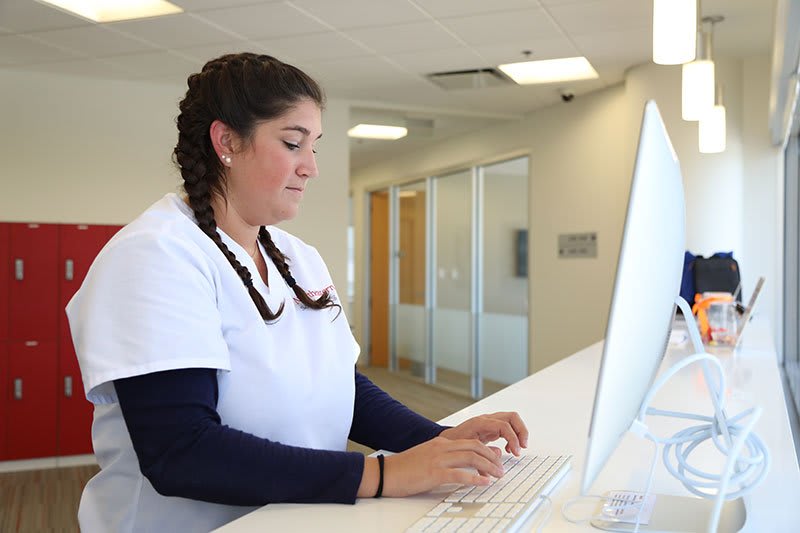 Northeastern University ABSN student using computer