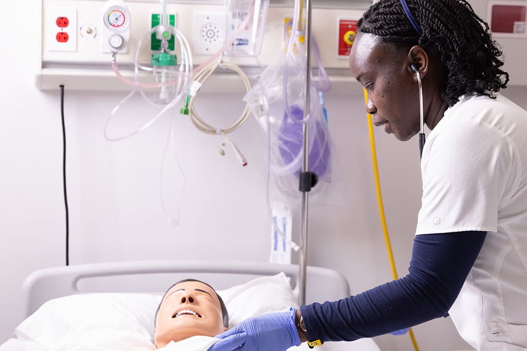 northeastern nursing student practicing on manikin with stethoscope