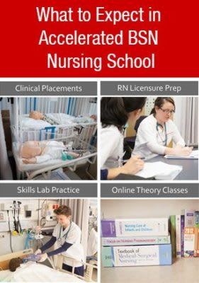 Northeastern Accelerated BSN Program Guide