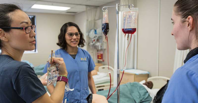 Nursing students working together in sim lab