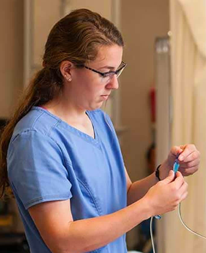 nursing student setting up IV