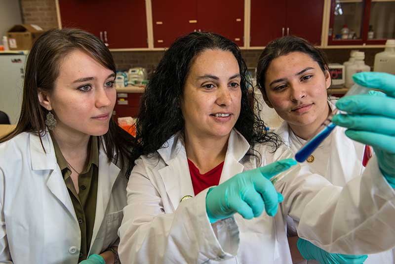 nursing science students looking at lab materials