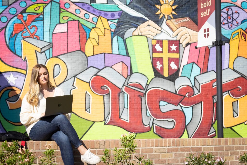 outdoors UST wall art mural