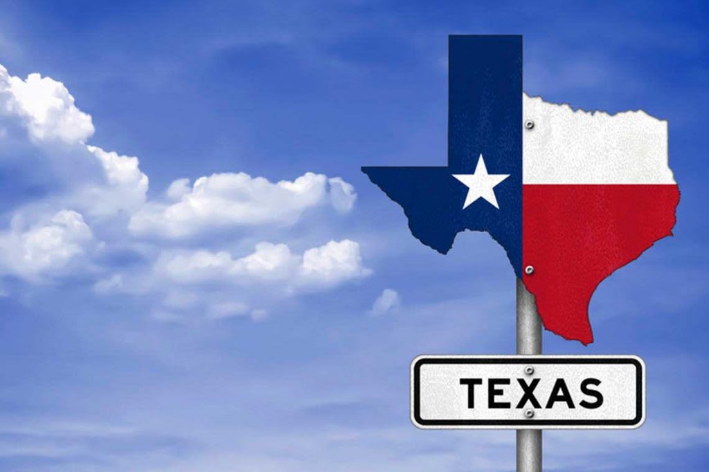 Texas shape street sign with Texas flag painted on it