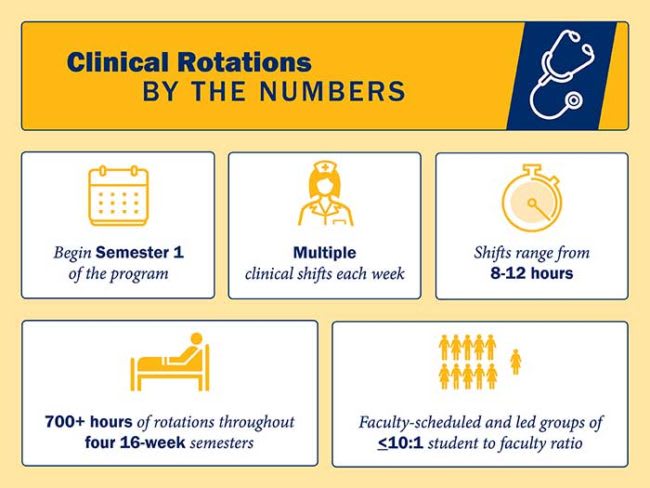 infographic of number of hours for clinical rotations throughout program semesters