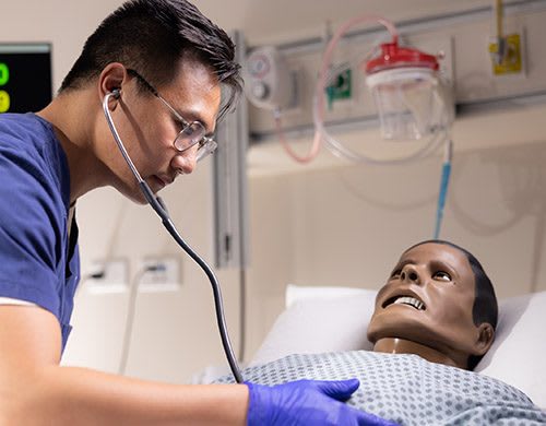 student listening to lungs on mannequin