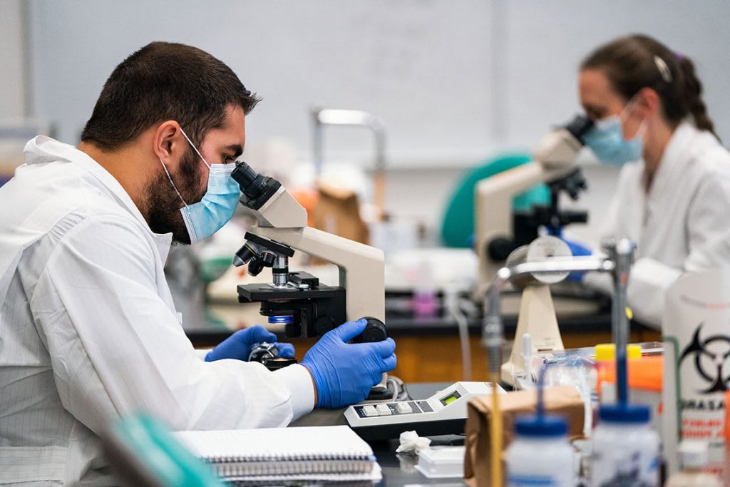 Lab students looking into microscopes