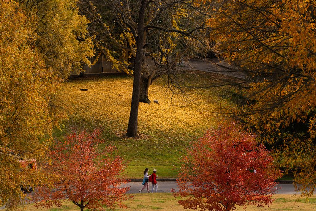 Bellarmine University campus in the fall