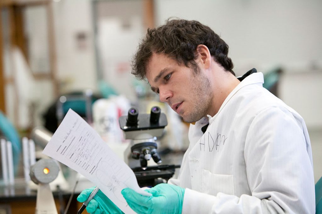 Lab student looking at paperwork in lab