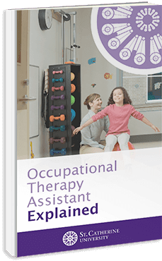 book with cover title: Occupational Therapy Assistant Explained