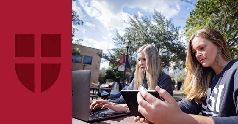 Students studying outside on laptops