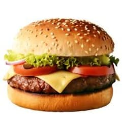 Hamburger Plain
