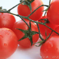 Calamarata tomatoes swordfish step 2