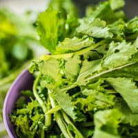 Feuille of broccoli and hemp step 1