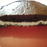 Chocolate cake and coconut