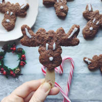 Galletas de espelta de chocolate vegetariana