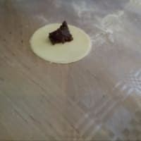 Cremaschi Tortelli paso 8