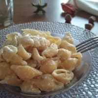 Conchiglie taleggio and hazelnuts