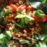 proteína Insalatona proteína Insalatona