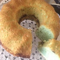 coccomenta rosquilla coccomenta rosquilla