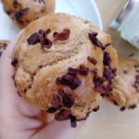 Protein Oat Chocolate Muffin