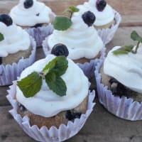 Oatmeal and Blueberry Cupcakes