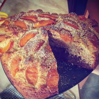 Two-tone wholemeal cake with apricots