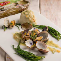 Flan of artichokes with agretti and sauté of clams with aromatic herbs