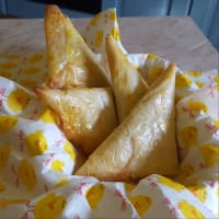 Pasta Triangles Beg