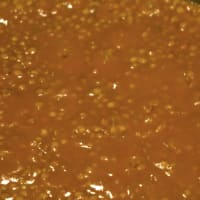 Lenticchie al Curry e Latte di Cocco step 7