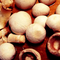 Cream of mushroom soup with cereal taralli step 1