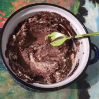 Sweet humus Sweet humus
