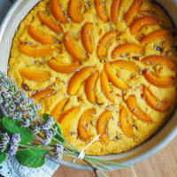 Water cake with apricots and raisins