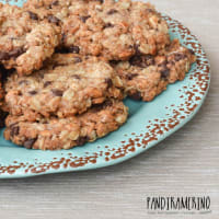 Biscotti con farina di riso fiocchi di farro e avena