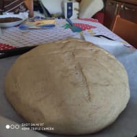 Wholemeal loaf with Tumminiatimilia flour step 7