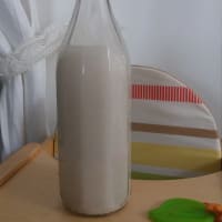 Leche de espelta