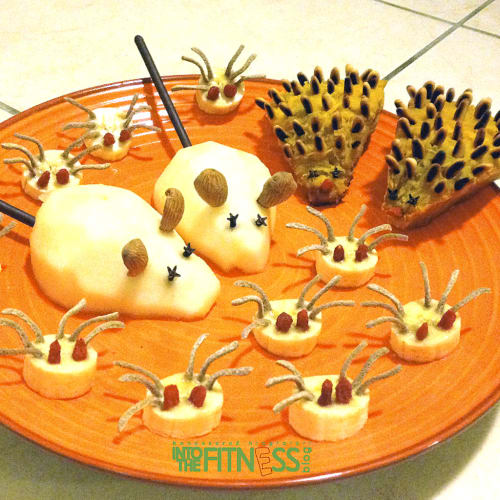 Dolcetti, trucos y animales de Halloween