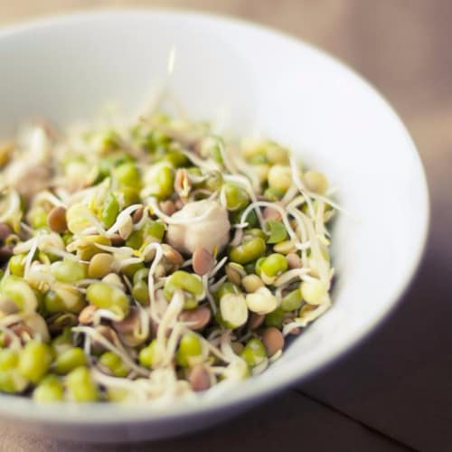 Salad with soy sprouts and chicken