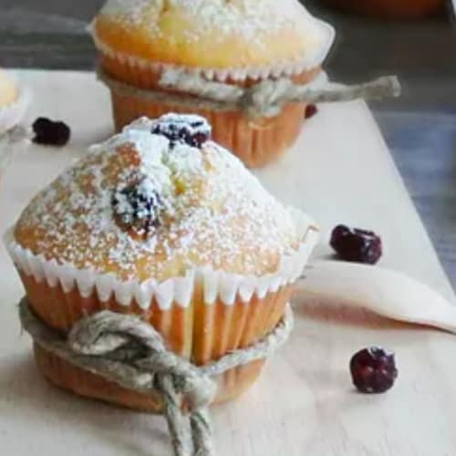 Muffin with dried cranberries