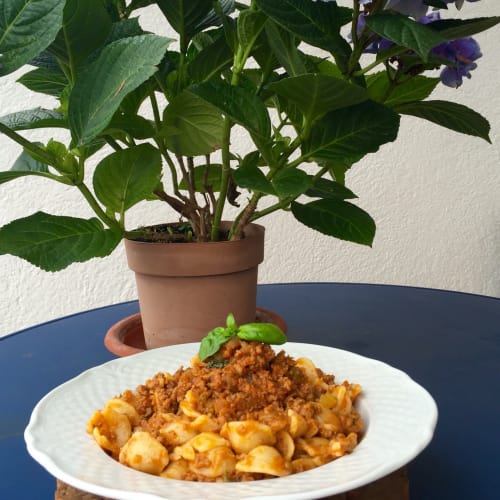 Pasta with meat sauce