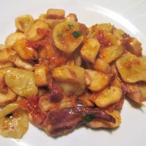 Orecchiette with homemade dried tomato sauce and squid