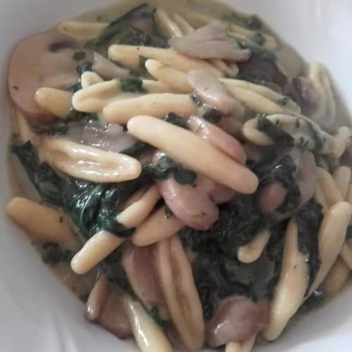 Cicatelli with spinach, mushrooms and besciamella