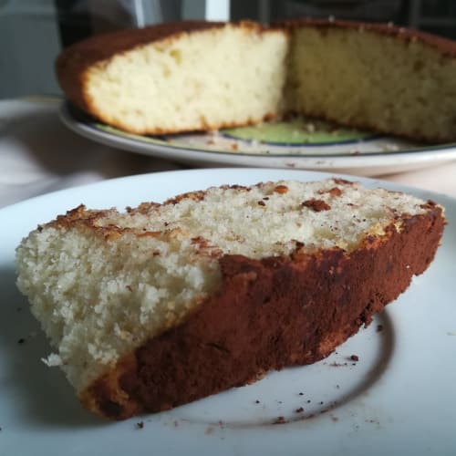 Coconut and cocoa cake