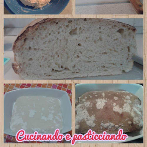 Bread Without Impoastio