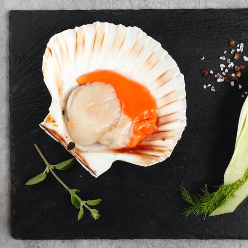 scallops with fennel, olives and apple cider vinegar