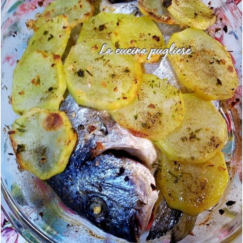 Sea bream to the Apulian