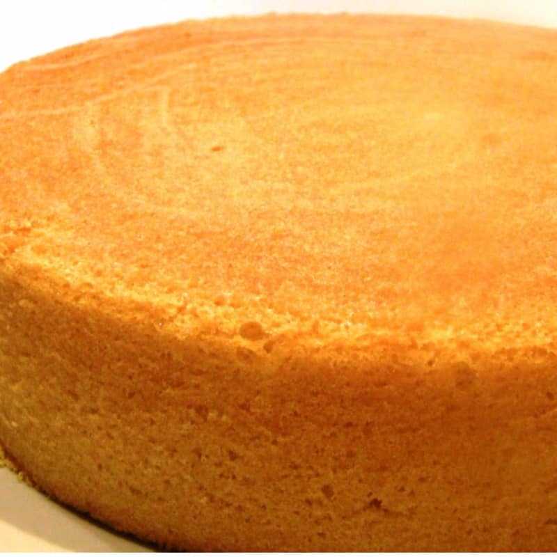 sponge cake